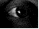 Auge Lidschlag