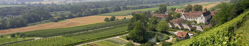 Kartause Ittingen
